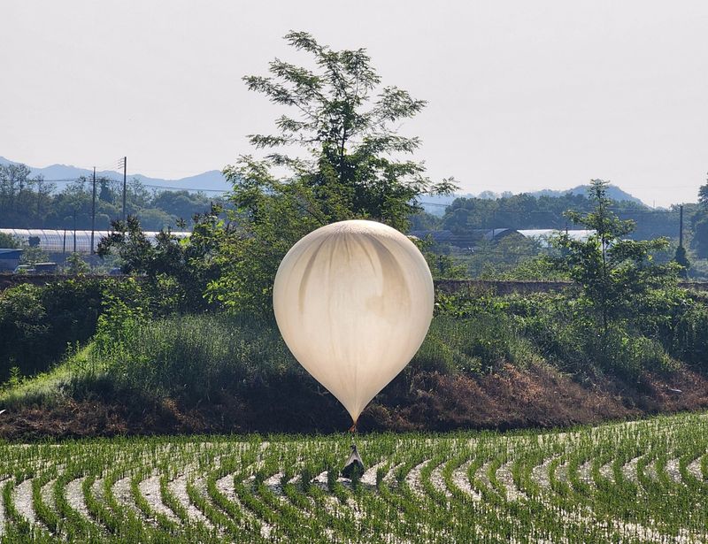 © Reuters. FILE PHOTO: A balloon believed to have been sent by North Korea, carrying various objects including what appeared to be trash and excrement, is seen over a rice field at Cheorwon, South Korea, May 29, 2024. Yonhap via REUTERS/File photo