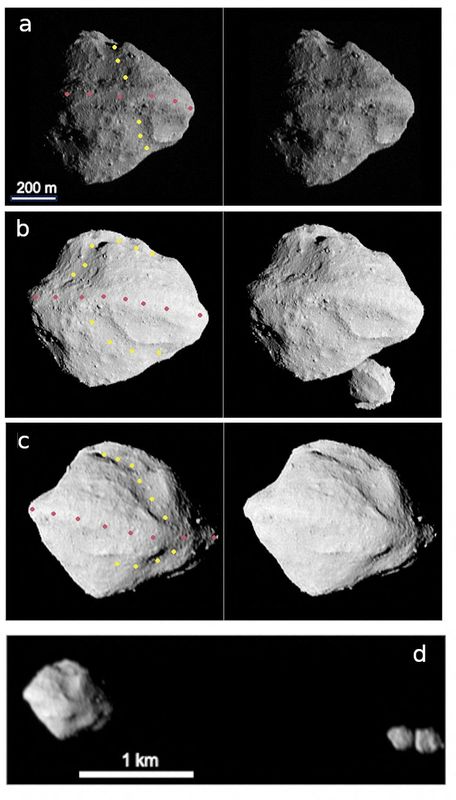 © Reuters. The asteroid Dinkinesh, a denizen of the solar system's main asteroid belt, is seen in multiple images taken by the NASA Lucy Spacecraft's L'LORRI Instrument. Panels a, b and c each show stereographic image pairs of Dinkinesh in the minutes around closest approach on Nov. 1, 2023. The yellow and rose dots indicate the trough and ridge features, respectively. These images have been sharpened and processed to enhance contrast. Panel d shows a side view of Dinkinesh and its satellite Selam taken a few minutes after closest approach. NASA/SwRI/Johns Hopkins APL/NOIRLab/Handout via REUTERS