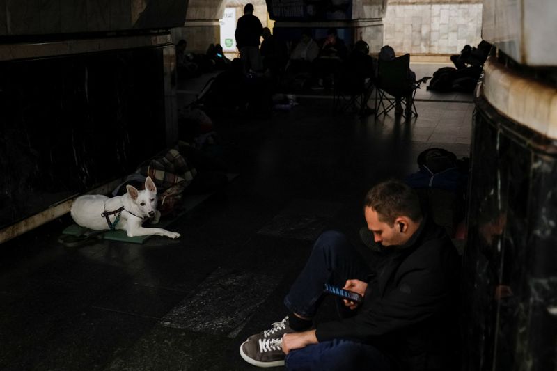 © Reuters. A pet dog lies at a metro station where people take shelter during a Russian military attack, amid Russia's attacks on Ukraine, in Kyiv, Ukraine, June 1, 2024. REUTERS/Alina Smutko