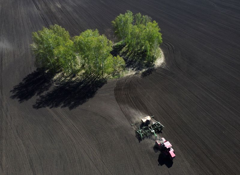 &copy; Reuters. Plantio de trigo em Novosibirsk n17/05/2024nREUTERS/Vladislav Nekrasov