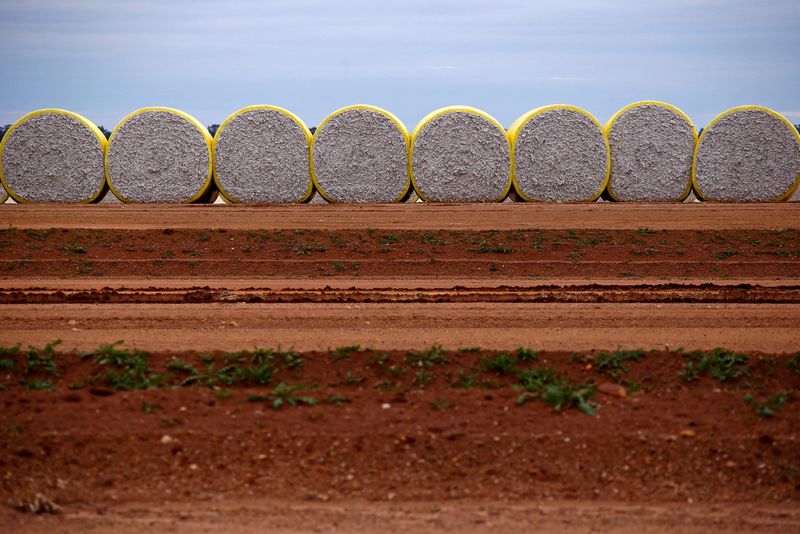 &copy; Reuters. Fardos de algodão na Austrálian21/06/2016nREUTERS/David Gray