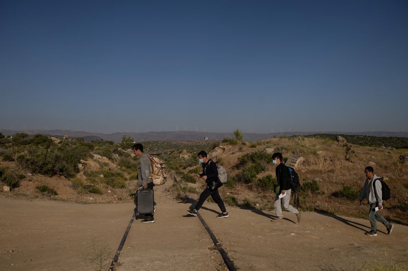 © Reuters. Migrants from China walk over railroad tracks after crossing into the United States from Mexico in Jacumba Hot Springs, California, U.S., May 15, 2024. REUTERS/Adrees Latif