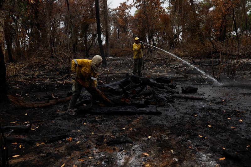 &copy; Reuters. Agentes do ICMBio trabalham para extinguir o fogo em área do Pantanal no Estado do Mato Grosson23/11/2023nREUTERS/Amanda Perobelli