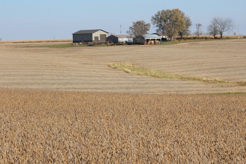 &copy; Reuters. Lavoura de soja em Iowan5/10/2019nREUTERS/Kia Johnson