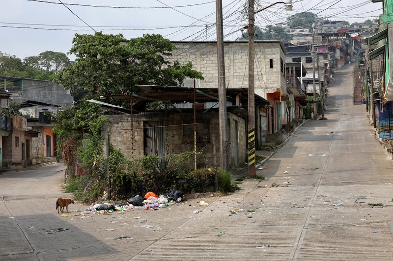 © Reuters. A dog stands in an empty street due to armed gang violence, which has forced residents to evacuate with the help of Government authorities that set up camps for displaced individuals, in Tila, Chiapas state, Mexico June 10, 2024. REUTERS/Manuel Orbegozo