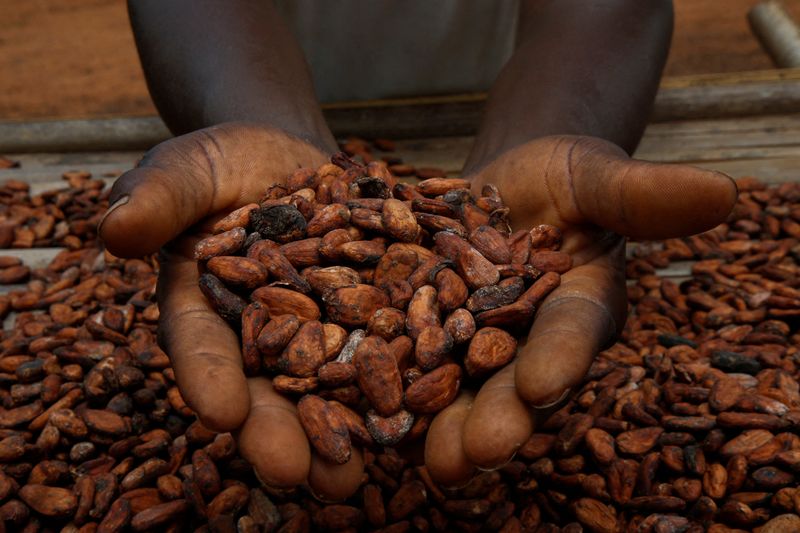 Cocoa climbs back above $10,000 as chocolate industry outlook worsens