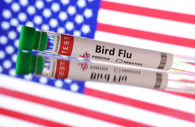 &copy; Reuters. Ilustração com tubos de ensaio com as palavras "Gripe aviária" em frente a uma bandeira dos EUA n10/06/2024nREUTERS/Dado Ruvic