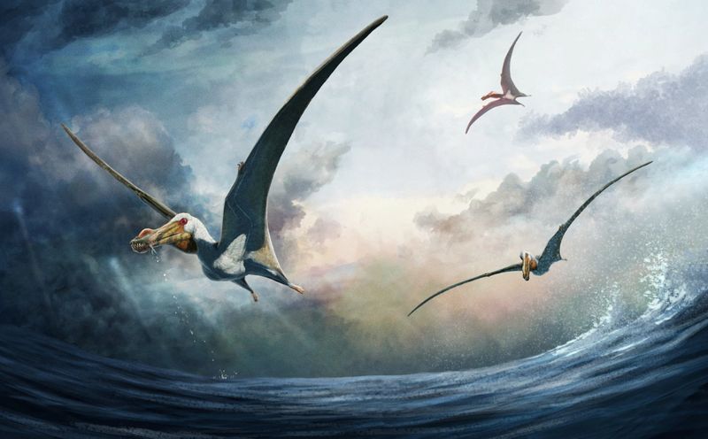 &copy; Reuters. Reconstrução da vida do recém-identificado pterossauro do Período Cretáceo Haliskia peterseni, que viveu na Austrália há cerca de 100 milhões de anos nUniversidade Curtin/Gabriel Ugueto/Divulgação via REUTERS