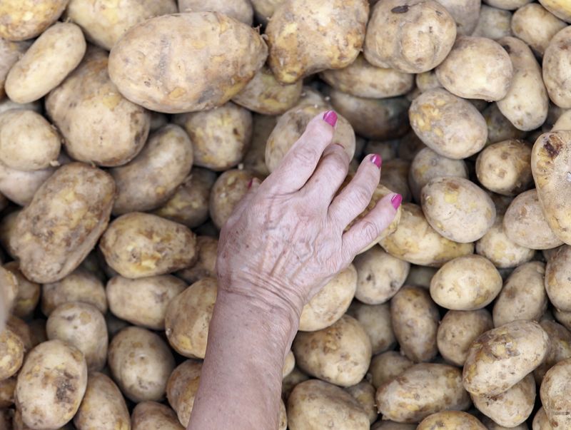 &copy; Reuters. Consumidora seleciona batatas em mercado em São Paulon28/04/2013 REUTERS/Paulo Whitaker