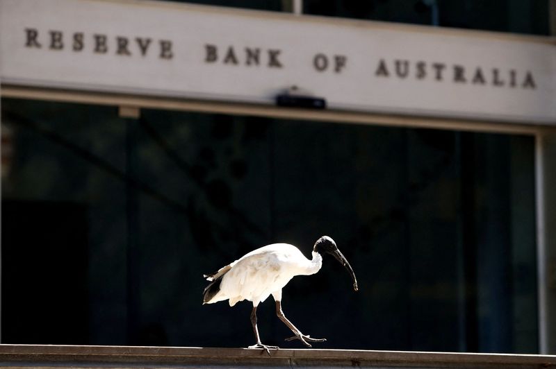 © Reuters. FILE PHOTO: An ibis bird perches next to the Reserve Bank of Australia headquarters in central Sydney, Australia February 6, 2018. REUTERS/Daniel Munoz/File Photo