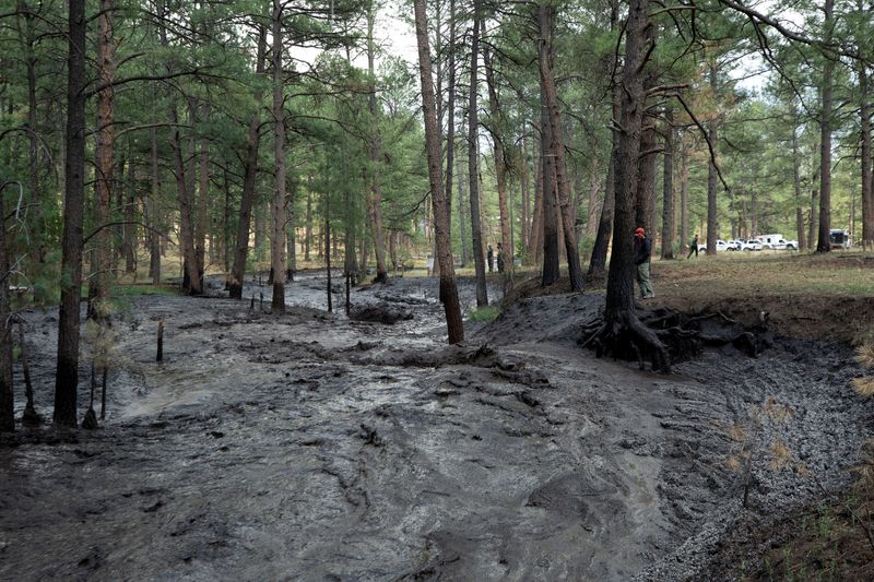 &copy; Reuters. A rainstorm caused flash flooding carrying debris, ash and hail through Cedar Creek as the South Fork Fire continues to burn in Ruidoso, New Mexico, U.S. June 19, 2024.  REUTERS/Kaylee Greenlee Beal