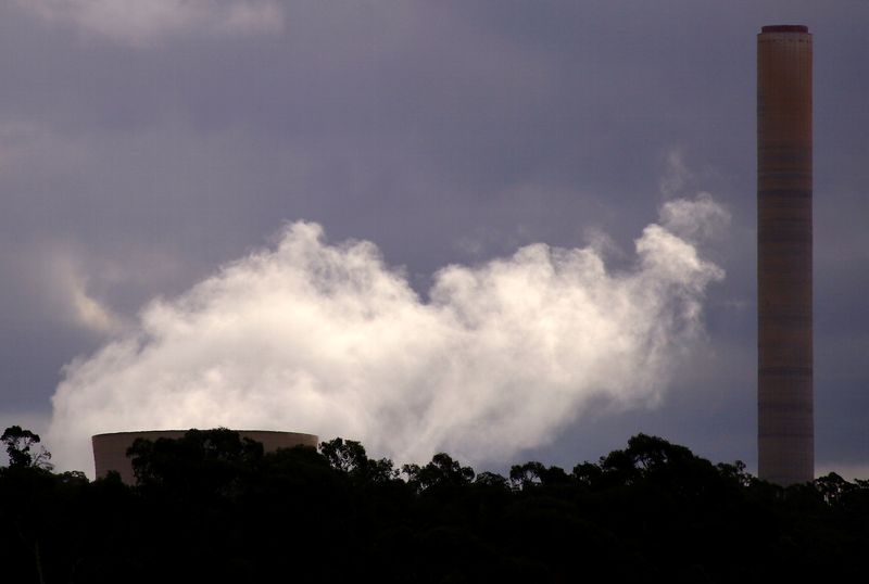 &copy; Reuters. Chimneys from the coal-powered Mount Piper power station are be seen behind trees near the town of Lithgow, located west of Sydney in Australia, February 26, 2017. REUTERS/David Gray/ File Photo