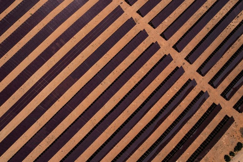 © Reuters. FILE PHOTO: Solar panels are pictured at a solar energy park in Saelices, Spain, May 11, 2022. Picture taken with a drone. REUTERS/Guillermo Martinez/File Photo