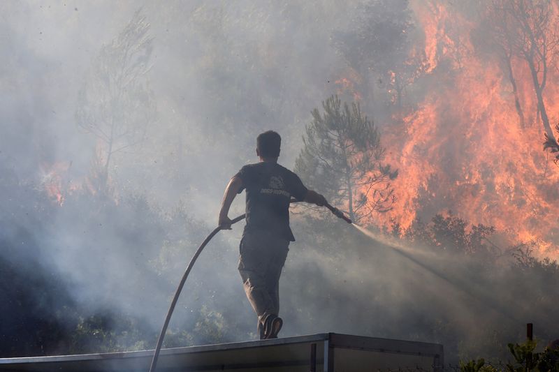 © Reuters. Stamata, near Athens, Greece, June 30, 2024. REUTERS/Giorgos Moutafis