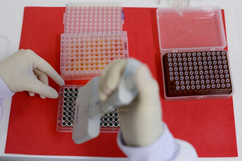 © Reuters. FILE PHOTO: An employee dilutes poultry serum samples for ELISA test for the detection of antibodies to the avian influenza virus at the Reference Laboratory of the World Organization for Animal Health in Campinas, Brazil April 25, 2023. REUTERS/Amanda Perobelli/File Photo
