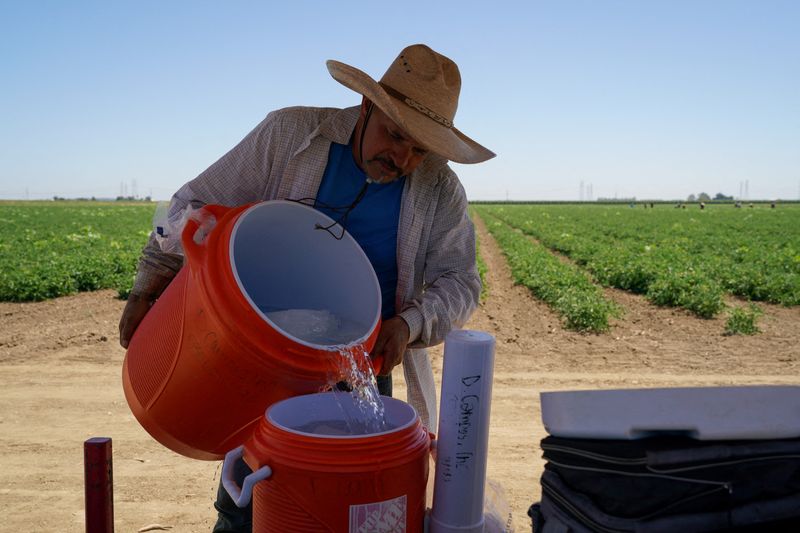 © Reuters. FILE PHOTO: Agricultural worker Ernesto Hernandez refills a water cooler while enduring high temperatures at a tomato field, as a heat wave affects the region near Winters, California, U.S. July 13, 2023. REUTERS/Loren Elliott/File Photo