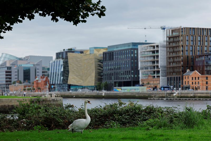 © Reuters. FILE PHOTO: A swan walks on grass as the Irish Financial Services Centre (IFSC) is seen in the background, including the Central Bank of Ireland, in Dublin, Ireland August 30, 2023. REUTERS/Clodagh Kilcoyne/File Photo