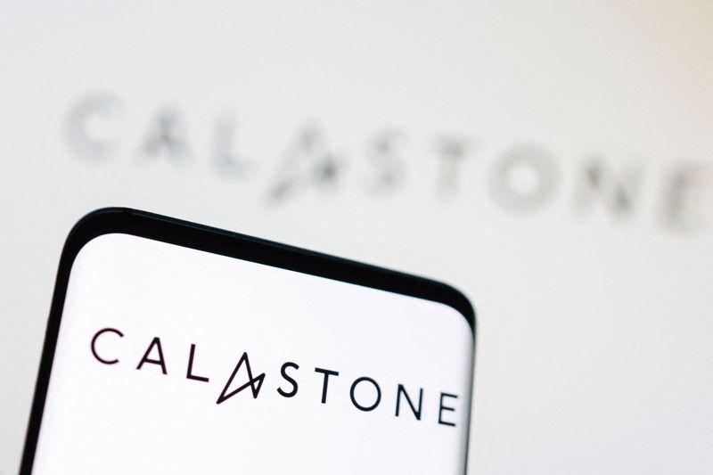 © Reuters. FILE PHOTO: Calastone logo is displayed in this illustration taken September 5, 2022. REUTERS/Dado Ruvic/Illustration/File Photo