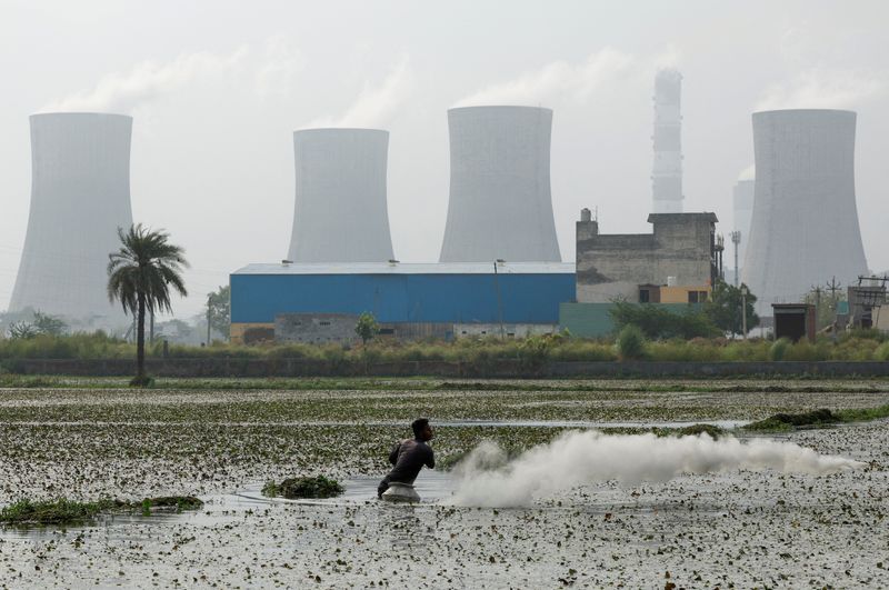 © Reuters. FILE PHOTO: A farmer sprinkles pesticide on the field as smoke rises from the chimneys of a coal power plant as the demand for coal-based power plants has risen due to the prolonged heatwave spells, in Dadri, India, June 20, 2024. REUTERS/ Priyanshu Singh/File Photo