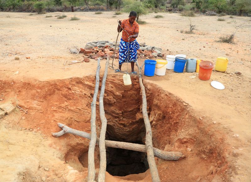 &copy; Reuters. File photo: A woman fetches drinking water from an unprotected well, as Zimbabwe is experiencing an El Nino-induced drought, resulting in malnutrition among children under the age of five, pregnant and lactating women, and adolescents, in Kotwa in Mudzi d