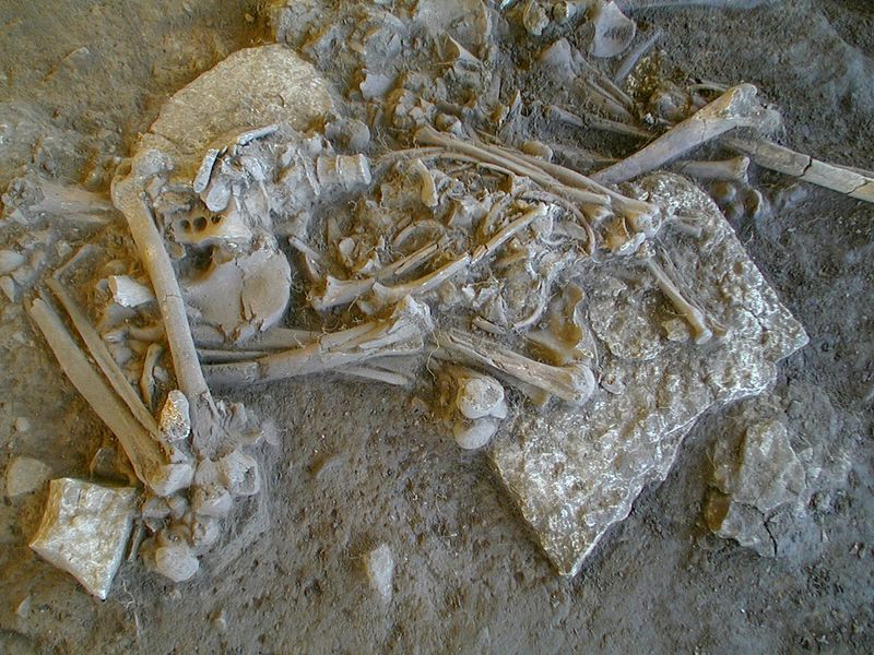 &copy; Reuters. One of the complete skeletons found in the Fraelsegarden passage grave, in Falbygden, Sweden, is seen in this undated handout image obtained by Reuters on July 9, 2024. The skeleton is of a woman aged around 30-40 years old.  Karl-Goeran Sjoegren/Handout 