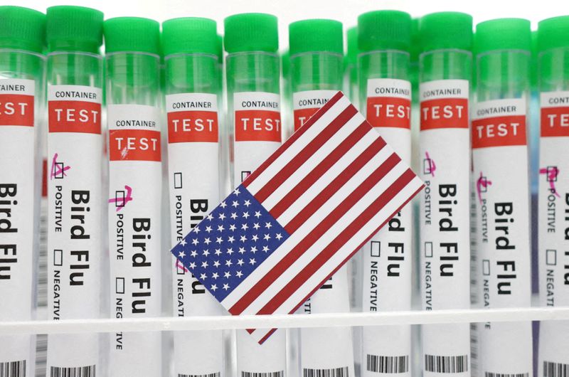 &copy; Reuters. Tubos de ensaio rotulados como de teste para gripe aviária atrás de bandeira dos Estados Unidos em foto de ilustraçãon14/01/2023 REUTERS/Dado Ruvic