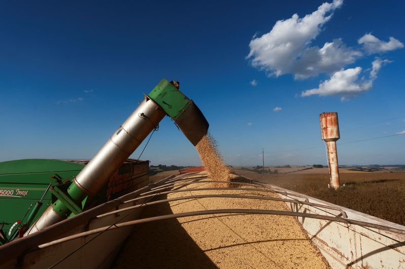 &copy; Reuters. Colheitadeira despeja soja em caminhão em Não-Me-Toque, no Rio Grande do Suln03/04/2024 REUTERS/Diego Vara