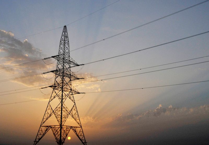 © Reuters. FILE PHOTO: An electric pylon supporting power cables is seen near the Western Region of Liwa near Abu Dhabi March 31, 2010. REUTERS/Jumana ElHeloueh/File Photo