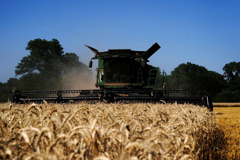 © Reuters. FILE PHOTO: A John Deere combine harvests winter wheat near Skedee, Oklahoma, U.S. June 13, 2024. REUTERS/Nick Oxford/File Photo