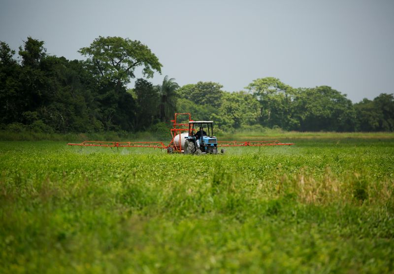 &copy; Reuters. FILE PHOTO: A farmer sprays pesticide on a field to ready it for the planting of corn in Turen, Venezuela May 11, 2021. Picture taken May 11, 2021. REUTERS/Leonardo Fernandez Viloria/File Photo