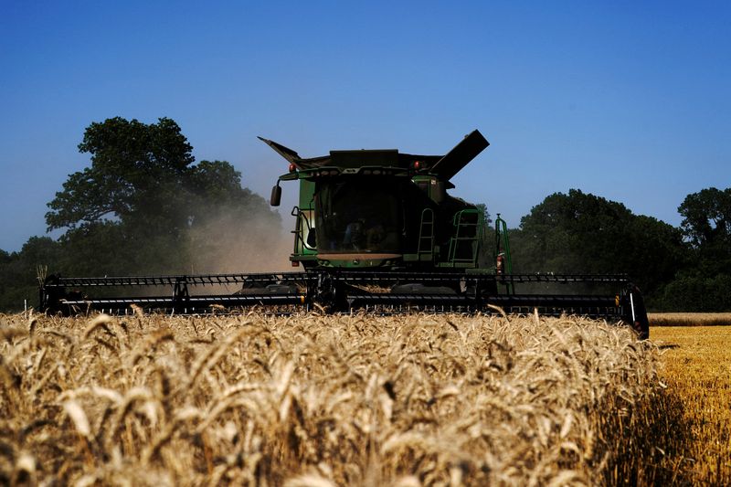 &copy; Reuters. Colheita de trigo em Oklahoma, EUA