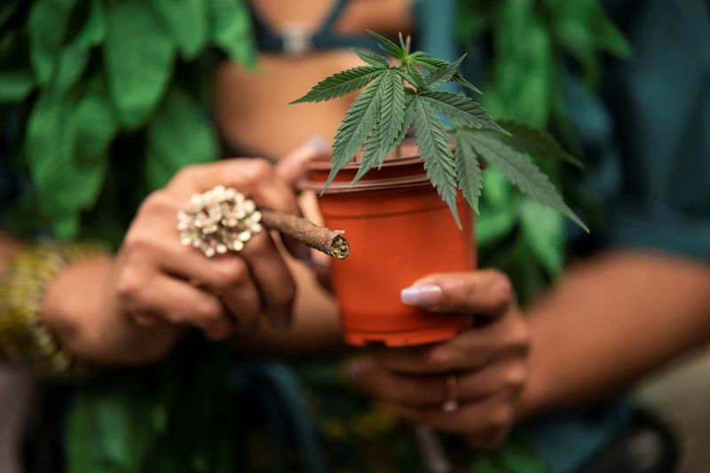 &copy; Reuters. FILE PHOTO: A woman carries a marijuana plant as she attends the annual NYC Cannabis Parade at the Manhattan borough in New York City, U.S., May 4, 2024. REUTERS/Eduardo Munoz/File Photo