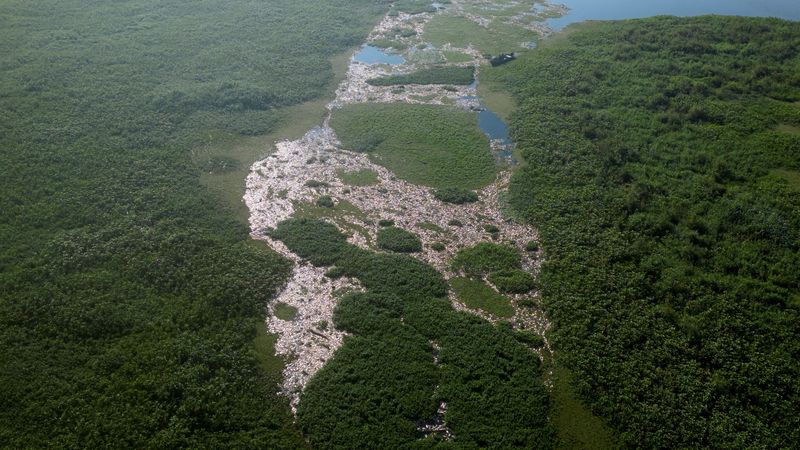 &copy; Reuters. Uma visão de drone mostra milhares de peixes mortos flutuando no rio Piracicaba, após a contaminação da água na área protegida de Tanqua, no Estado de São Paulon18/07/2024nREUTERS/Jorge Silva