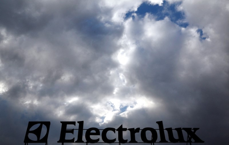 © Reuters. FILE PHOTO: FILE PHOTO: An Electrolux logo is seen at a factory in Porcia, northern Italy, February 28, 2014.  REUTERS/Stefano Rellandini/File Photo