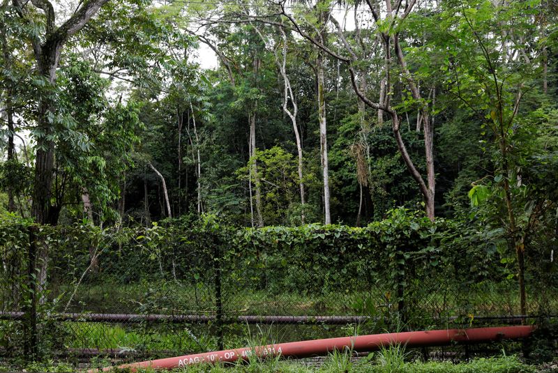 © Reuters. FILE PHOTO: An oil pipeline in Orellana province, Ecuador July 28, 2023. REUTERS/Karen Toro/File Photo