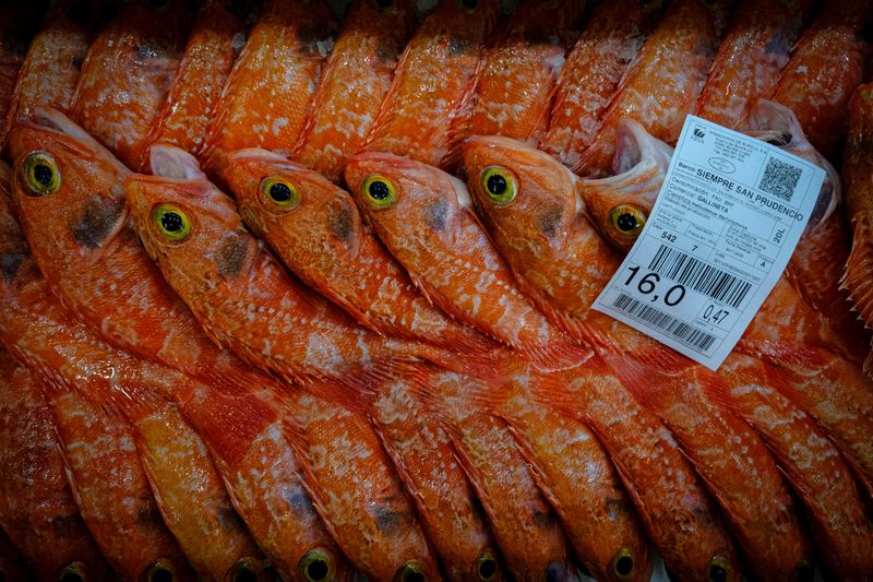 © Reuters. FILE PHOTO: A box filled with blackbelly rosefish is seen before being auctioned at Burela's port, Galicia, Spain, November 30, 2023.  REUTERS/Nacho Doce/File Photo