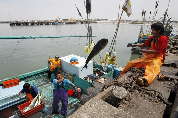 &copy; Reuters. Pescadores descarregando peixes no porto peruano de Chimboten13/12/2012nREUTERS/Enrique Castro-Mendivil