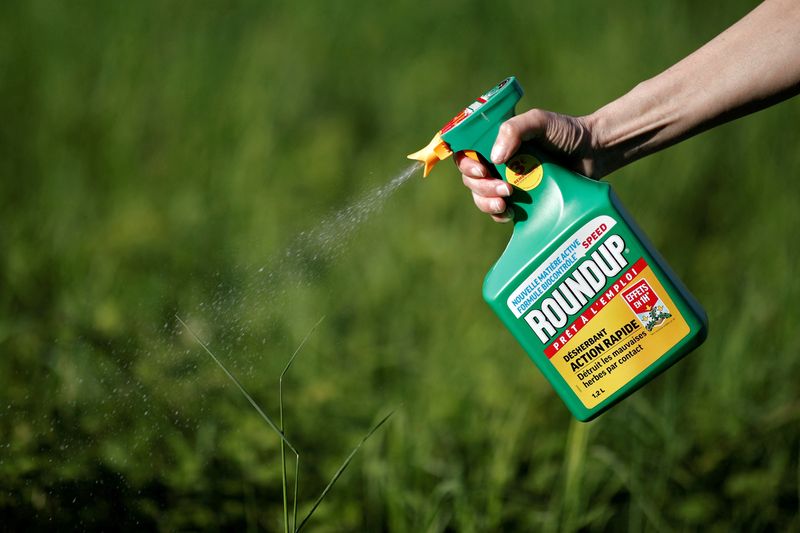 &copy; Reuters. FILE PHOTO: A woman uses a Monsanto's Roundup weedkiller spray without glyphosate in a garden in Ercuis near Paris, France, May 6, 2018. REUTERS/Benoit Tessier/File Photo