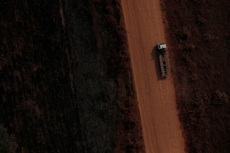© Reuters. Imagem aérea da BR-319 perto da cidade de Humaitá, no Amazonas
22/08/2019
REUTERS/Ueslei Marcelino