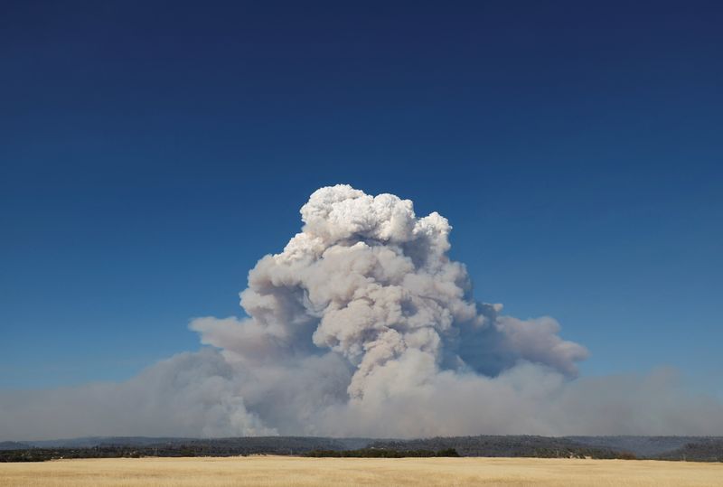 © Reuters. Smoke rises from the Park Fire near Chico, California, U.S. July 25, 2024.  REUTERS/Fred Greaves