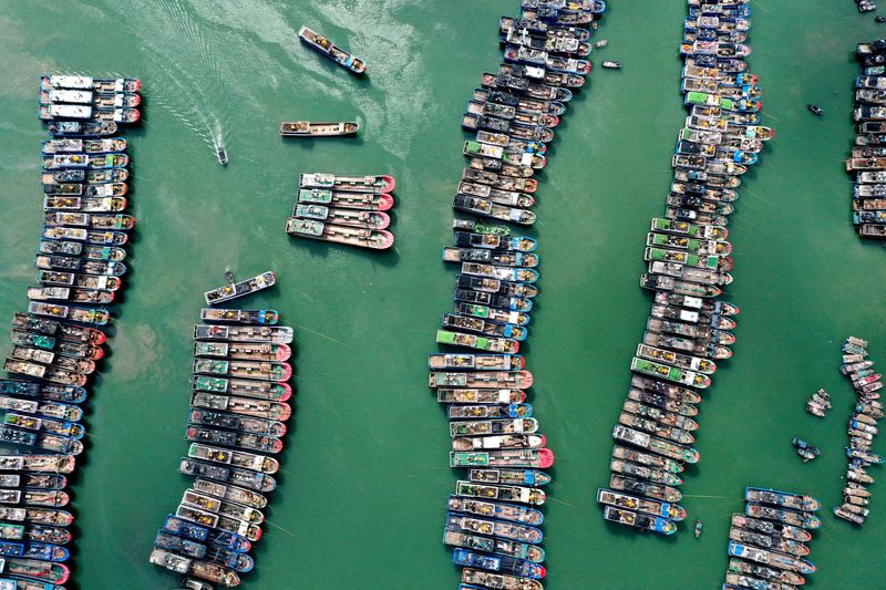 © Reuters. A drone view shows fishing boats being moored at a port as Typhoon Gaemi approaches, in Lianjiang county of Fuzhou, Fujian province, China July 23, 2024. China Daily via REUTERS 