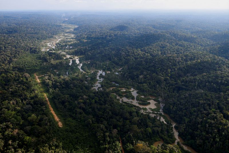 &copy; Reuters. Floresta Nacional de Urupadi, na floresta Amazônica, Estado do Amazonasn23/05/2023nREUTERS/Adriano Machado