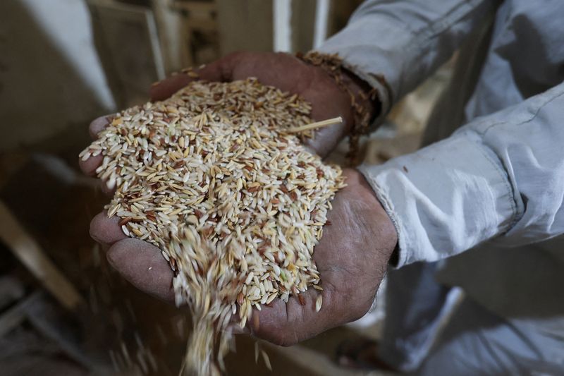 &copy; Reuters. Produtor com punhado de arroz em Najafn20/07/2022nREUTERS/Alaa al-Marjani