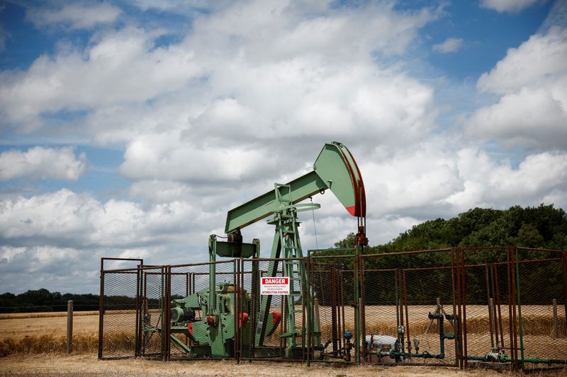 © Reuters. FILE PHOTO: A pumpjack operates at the Vermilion Energy site in Trigueres, France, June 14, 2024. REUTERS/Benoit Tessier/File Photo