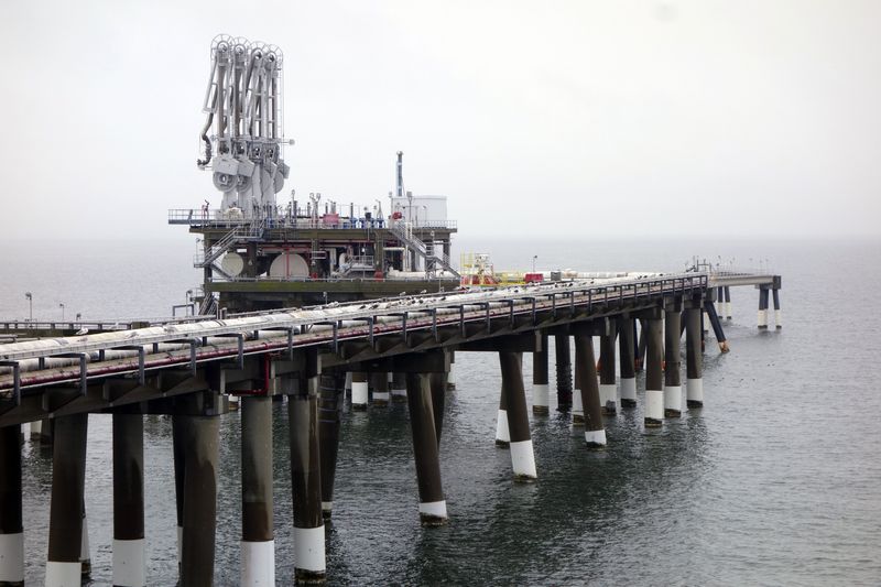 &copy; Reuters. The pier at Dominion's Cove Point liquefied natural gas (LNG) plant on Maryland's Chesapeake Bay is seen in this picture taken February 5, 2014. REUTERS/Timothy Gardner/ File Photo