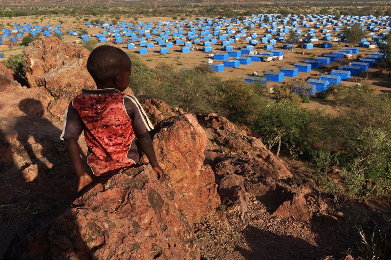 © Reuters. FILE PHOTO: A boy sits atop a hill overlooking a refugee camp near the Chad-Sudan border, November 9, 2023. REUTERS/El Tayeb Siddig/File Photo