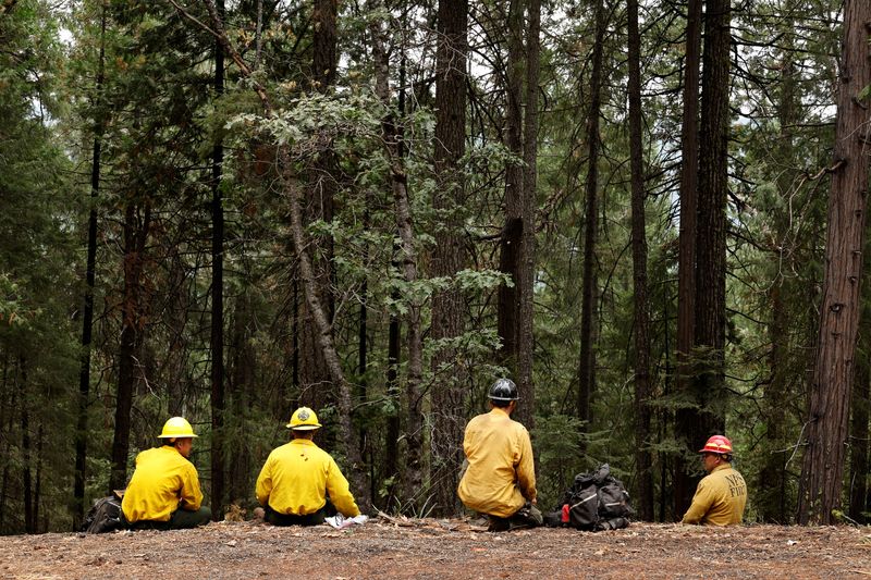 &copy; Reuters. A fire crew from Hawaii National Parks takes a break from treating forest land ahead of the Park Fire in Mill Creek, California, U.S. August 3, 2024. REUTERS/Fred Greaves