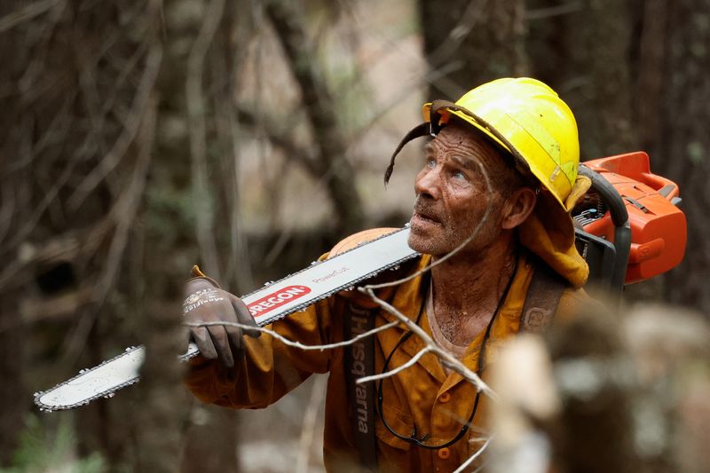 © Reuters. Mill Creek, California, U.S. August 3, 2024. REUTERS/Fred Greaves