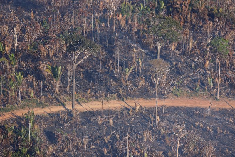 &copy; Reuters. Área desmatada da floresta amazônica perto de Humaitá (AM)n03/08/2023nREUTERS/Leonardo Benassatto