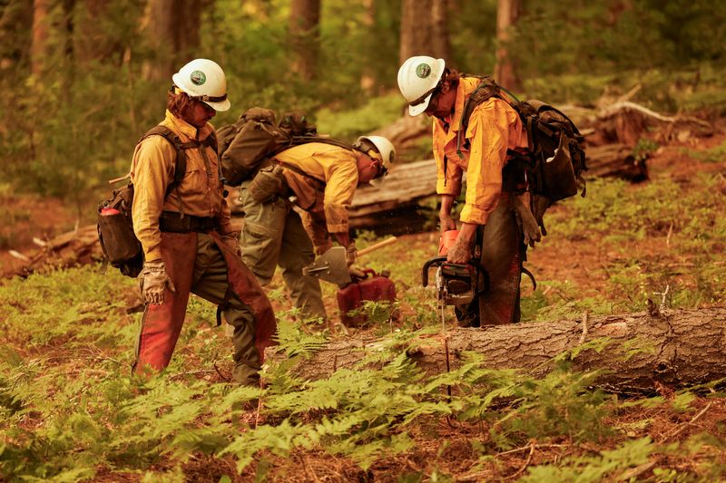 ©Reuters.  On August 6, 2024, along Highway 172 near Mineral, California, the United States, a firefighter cut down a fallen tree before the park fire spread.